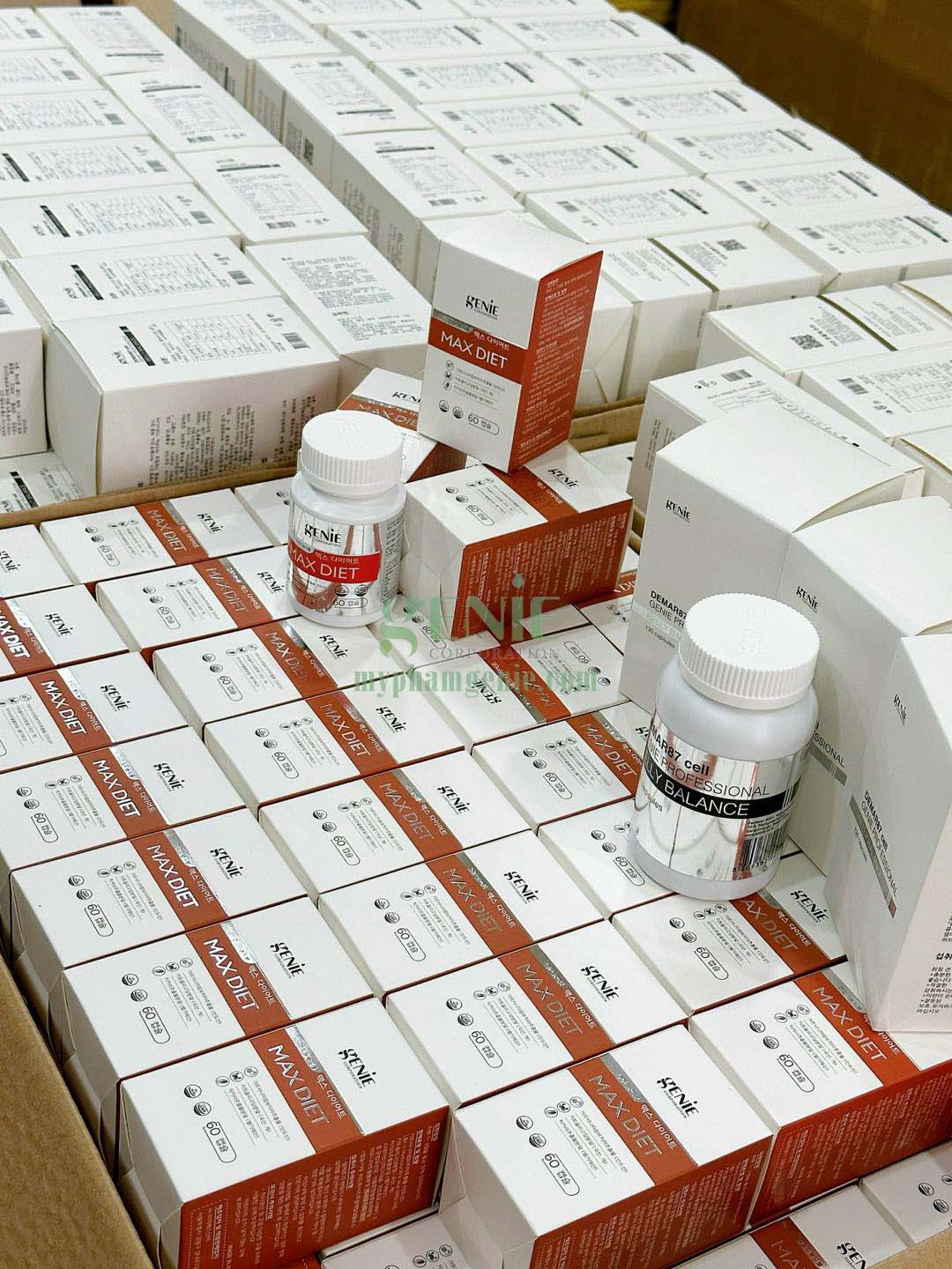 max diet genie max diet genie