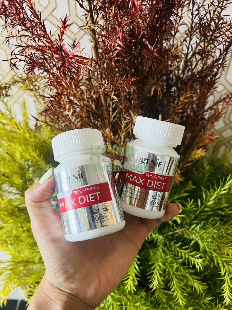 Giảm cân Max Diet Genie 3 Giảm cân Max Diet Genie