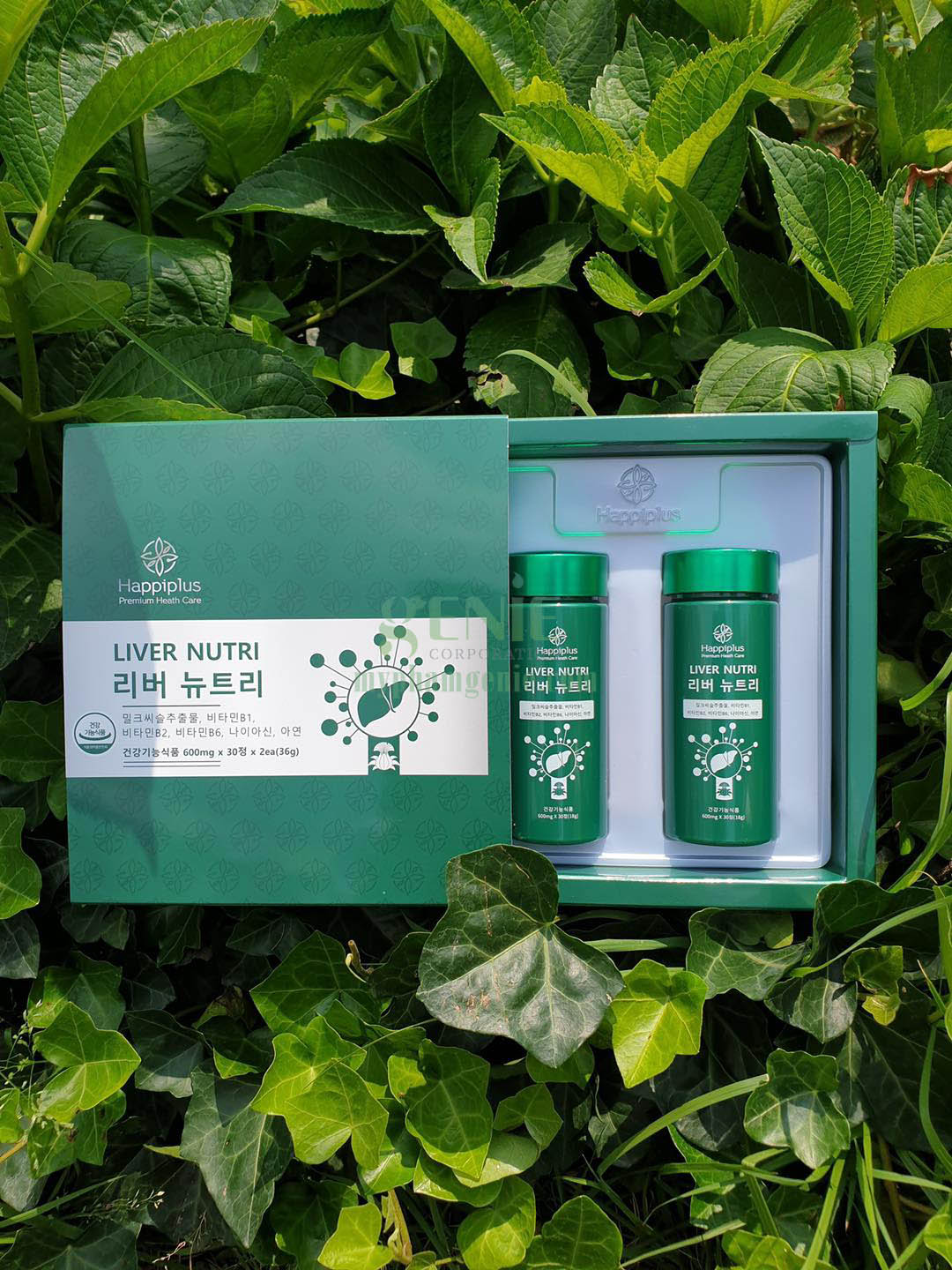 Thuốc bổ gan Liver Nutri