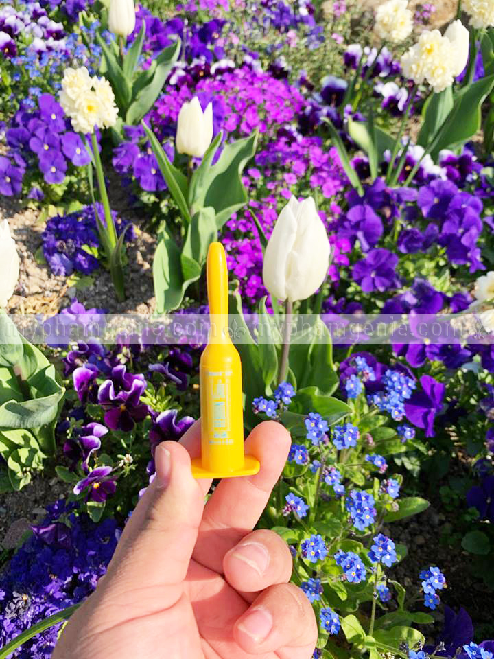 Vi tảo reborn skin+ genie