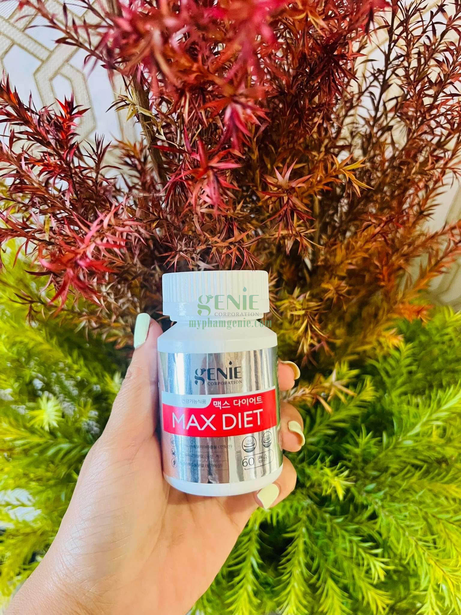 Giảm cân Max Diet Genie 5 Giảm cân Max Diet Genie