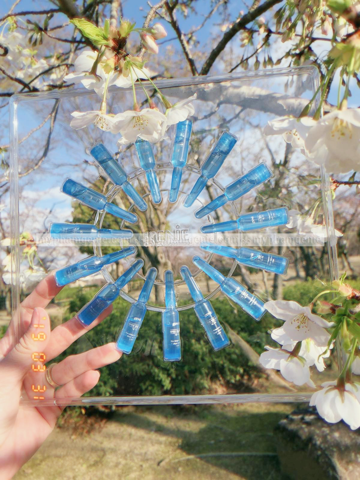 Tế bào gốc genie 5 Tế bào gốc genie